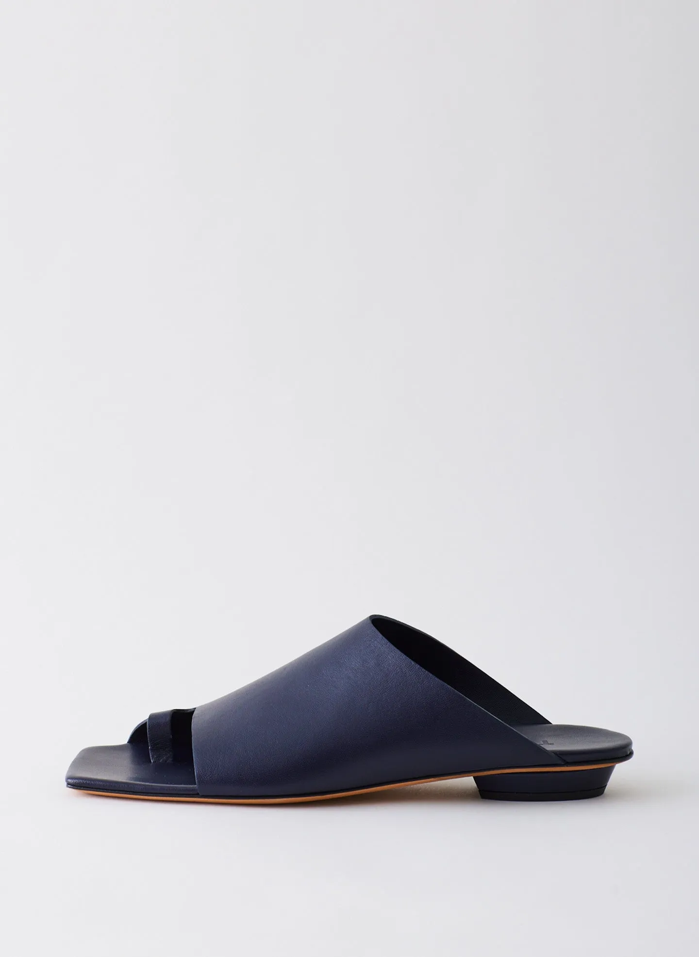 Gary Sandal sold by Tibi