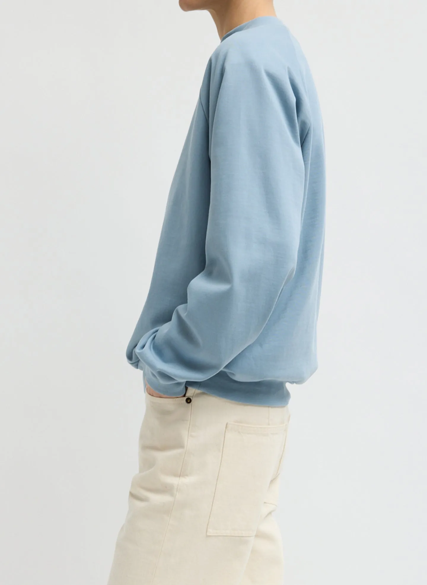 Perfect T-Shirt Vintage Sweatshirt sold by Tibi product image thumbnail 2