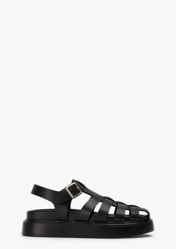 Jethro Black Tuscon sold by Tony Bianco