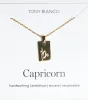Gold Capricorn Zodiac Necklace sold by Tony Bianco