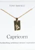 Gold Capricorn Zodiac Necklace sold by Tony Bianco