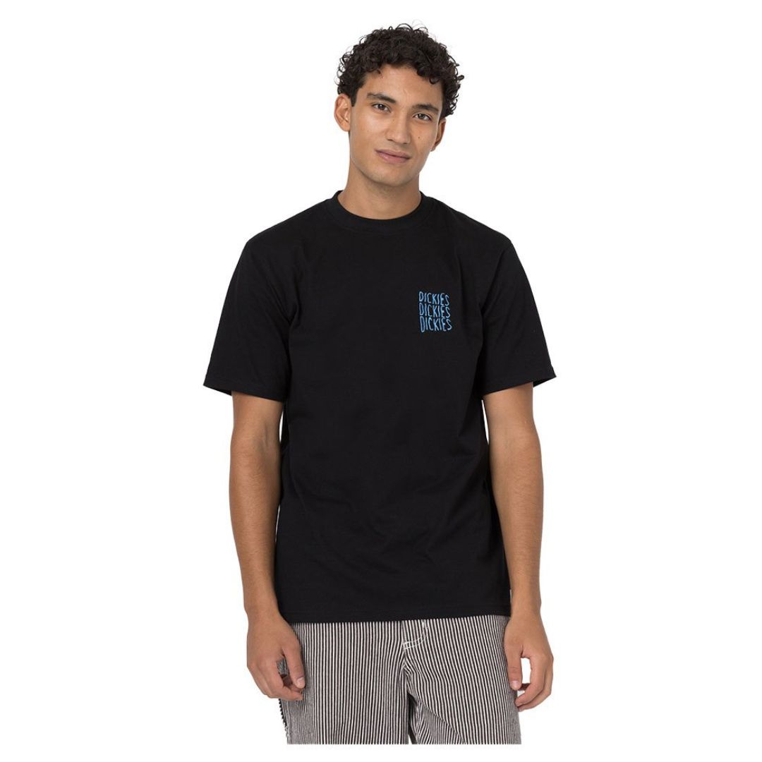 DICKIES CRESWELL TEE sold by Top of the World product image thumbnail 2