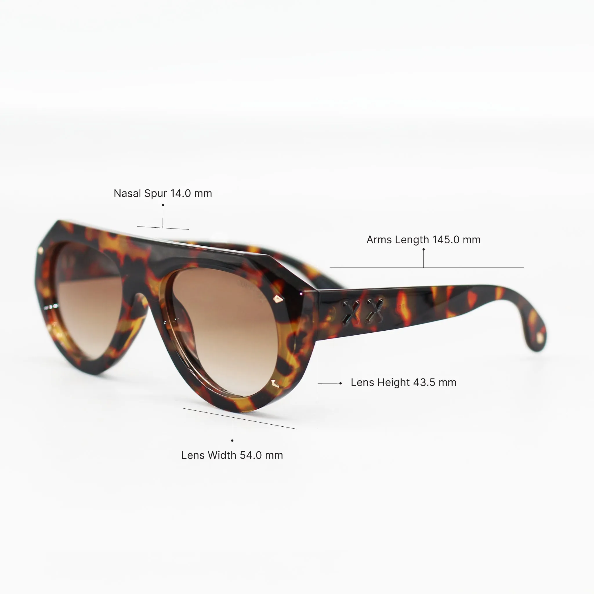 Vega Brown Tortoise sold by Topfoxx product image thumbnail 4