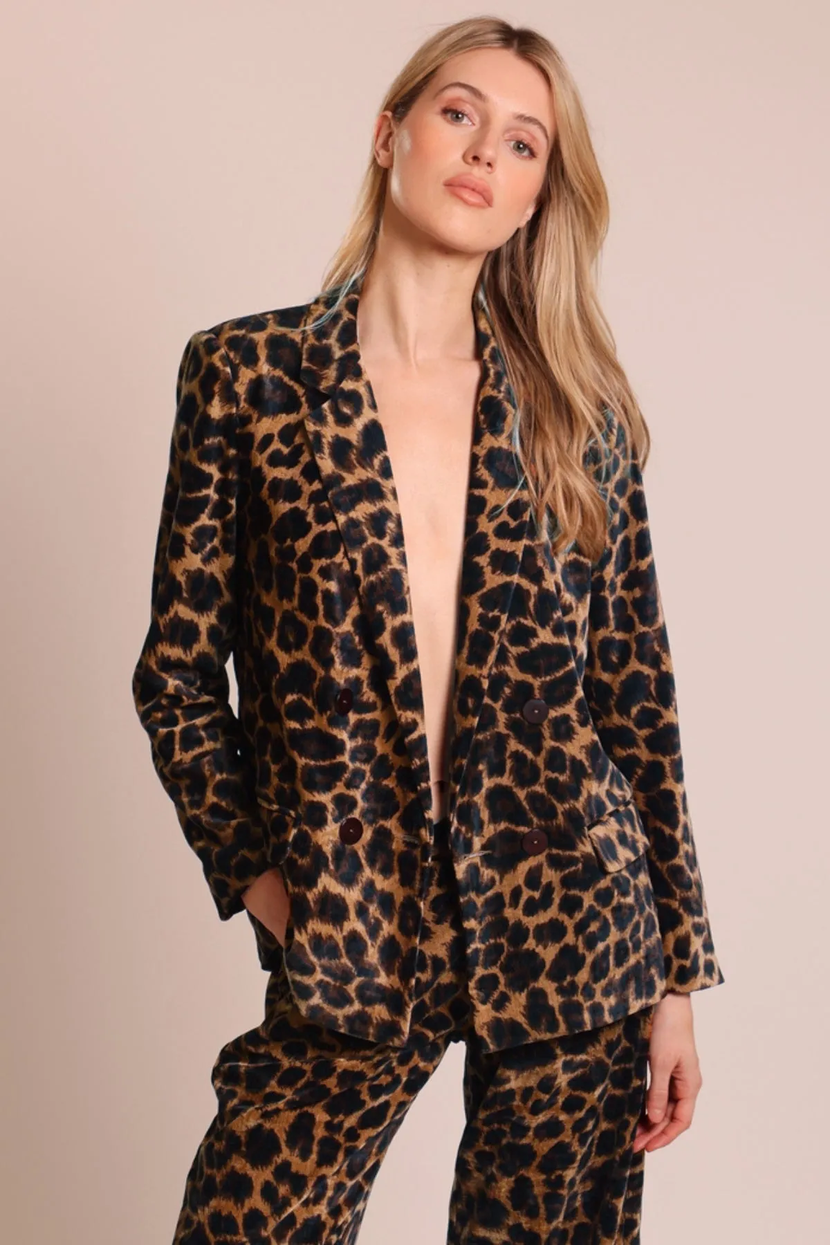 Proceed With Caution Ava Rose Jacket in Black sold by Traffic People