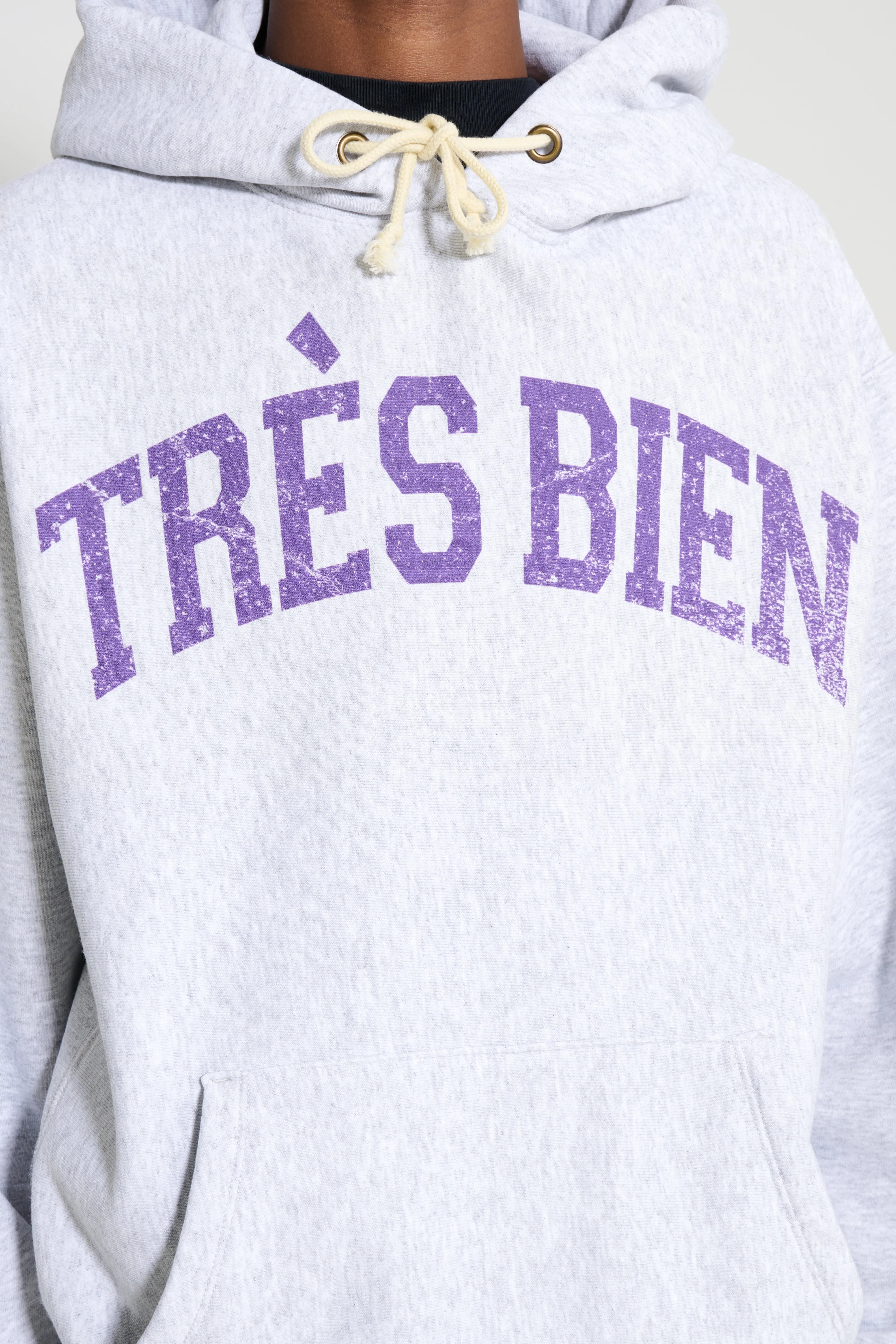TRÈS BIEN x Champion Damaged Arch Hood Grey Melange sold by Tres Bien product image thumbnail 5