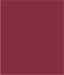 Pull-On Kick Flare Ankle Pant-Bordeaux sold by Tribal product image thumbnail 5