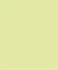 PULL-ON SKORT WITH ROUNDED SIDE SLITS-Wildlime sold by Tribal