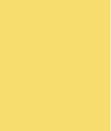 BOUCLE BUTTON-UP JACKET-Marigold sold by Tribal product image thumbnail 5