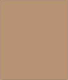 Brushed Knit Collared Top With Rib Combo-Tan sold by Tribal product image thumbnail 5