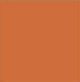 V-Neck Tunic With Side Slits-Burntorange sold by Tribal product image thumbnail 5