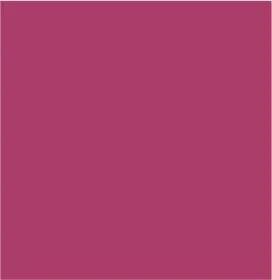 MESH TURTLENECK TOP WITH LINING-Magenta haze sold by Tribal product image thumbnail 5