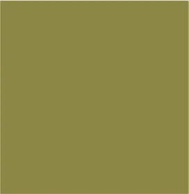 Stretch Woven Flowy Raglan Sleeve Shirt-Aloeleaf sold by Tribal product image thumbnail 5