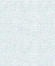 Light Denim Button Front Shirt-Bluewhite sold by Tribal product image thumbnail 5