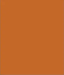 Smocked Sleeveless Linen Knit Top-Carrot sold by Tribal product image thumbnail 5