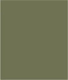 3/4 Sleeve Button-Front Blouse With Pleats-Loden sold by Tribal product image thumbnail 5