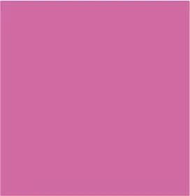 Long Sleeve Notch Neck Cotton Blouse-Flamingo sold by Tribal product image thumbnail 5