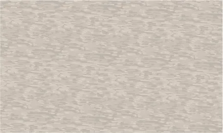 French Terry Long-Sleeve Crew Neck Top-H sandstone sold by Tribal product image thumbnail 5