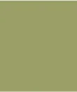 Water Repellent Textured Jacket-Wasabi sold by Tribal product image thumbnail 5