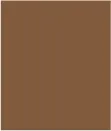 Signature Every Body Ponte High Rise Capri Pants-Walnut sold by Tribal product image thumbnail 5