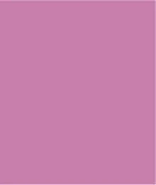 Comfort Stretch Pull-On Kick Flare Capris-Wisteria sold by Tribal product image thumbnail 5