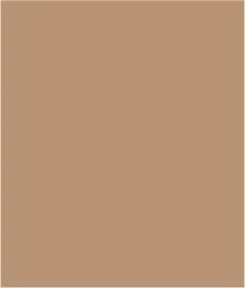 Printed Jersey Crew Neck Top With Side Ruching-Sesame sold by Tribal product image thumbnail 5