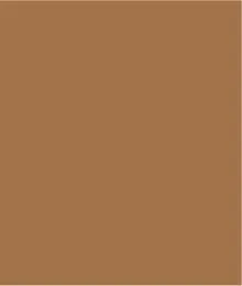 Printed Jersey Crew Neck Top With Side Ruching-Chestnut sold by Tribal product image thumbnail 5