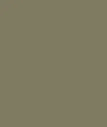 Soft Twill Pleated Barrel Wide Leg Ankle Pants-Aloe sold by Tribal product image thumbnail 5