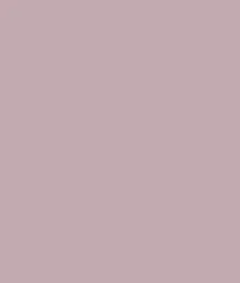 Striped Stretch Poplin Long Sleeve Button Front Shirt-Violetice sold by Tribal product image thumbnail 5