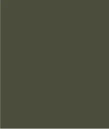 Flatten-It® Pull-On Ankle Pant With Side Slits-Spinach sold by Tribal product image thumbnail 5