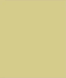 Long Sleeve Funnel Neck Sweater-Celery sold by Tribal product image thumbnail 5