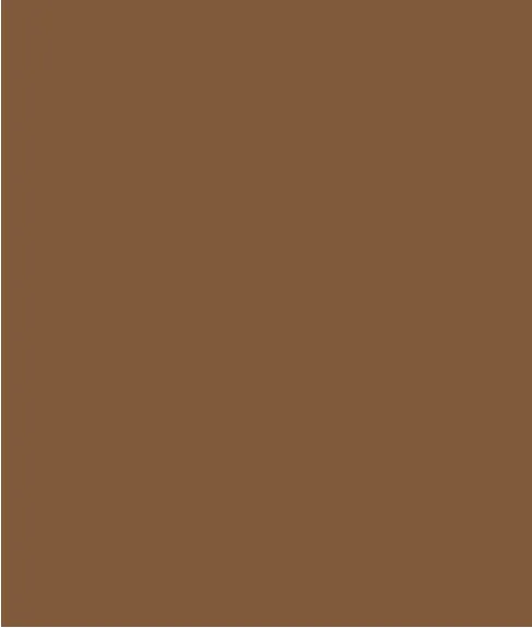 FLOWY RAGLAN BLOUSE WITH FLUTTER ACCENTS-Walnut sold by Tribal product image thumbnail 3