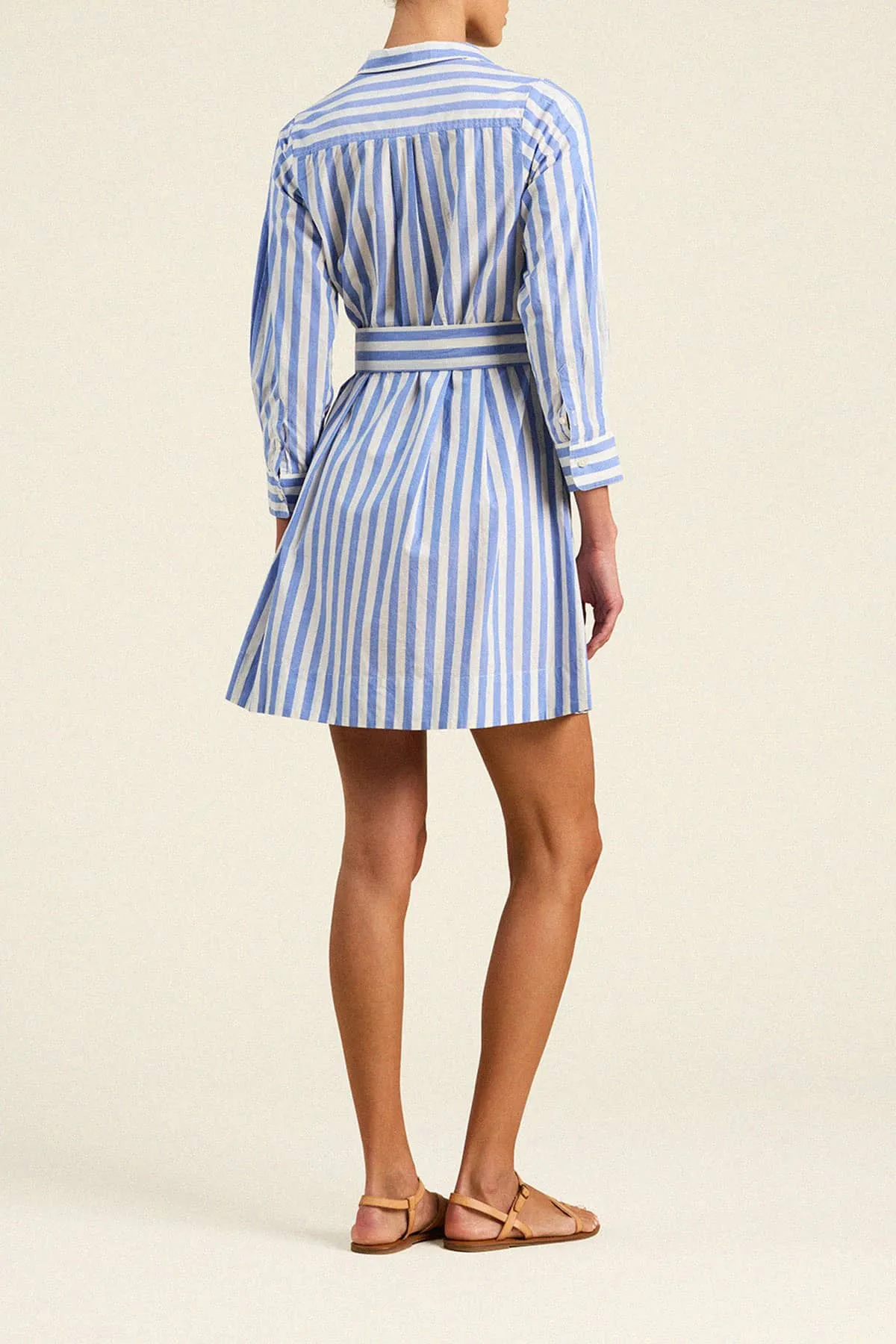 Luli Dress Volpi Lines sold by Trovata product image thumbnail 4