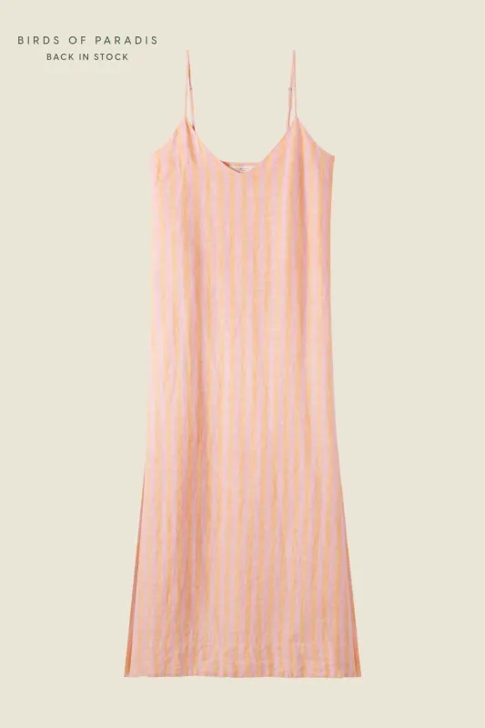 Reva Dress Creamsicle Stripe made by Trovata