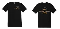 100 Soft Style Shirts ($699) + Free Shipping sold by Tshirt Center