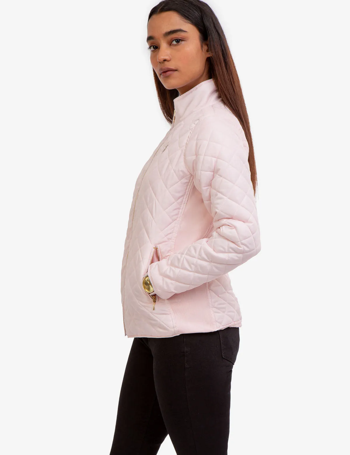 QUILTED SIDE KNIT MOTO JACKET sold by U.S. Polo Assn. product image thumbnail 3