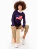 USPA FLAG CREW NECK SWEATER sold by U.S. Polo Assn.