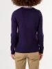 USPA FLAG CREW NECK SWEATER sold by U.S. Polo Assn.