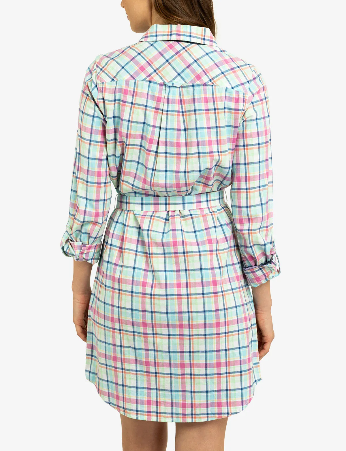 PLAID OXFORD DRESS sold by U.S. Polo Assn. product image thumbnail 3