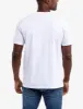 USPA TEAM GRAPHIC PRINT T-SHIRT sold by U.S. Polo Assn.