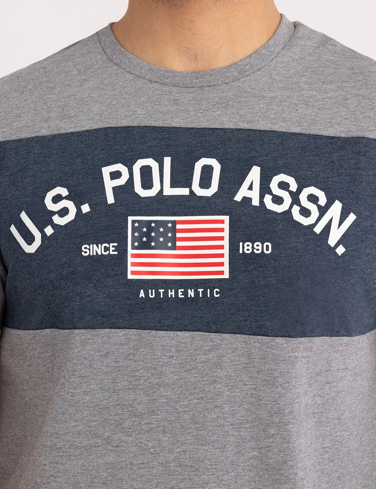 COLOR BLOCK FLAG PRINT JERSEY T-SHIRT sold by U.S. Polo Assn. product image thumbnail 2