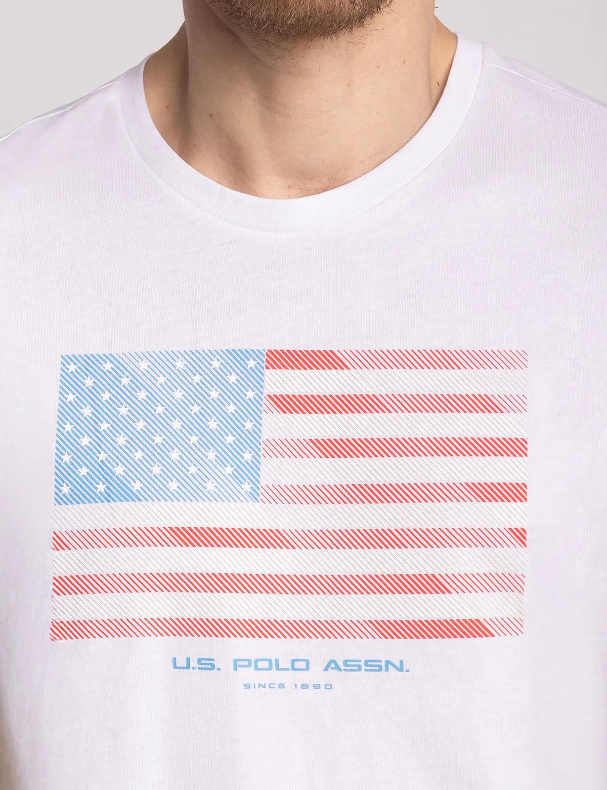 DIAGONAL STRIPES FLAG GRAPHIC T-SHIRT sold by U.S. Polo Assn. product image thumbnail 2