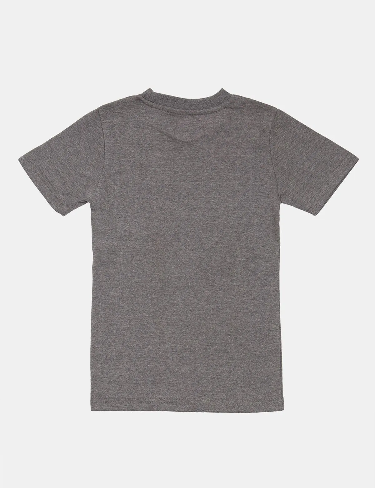 TEAM USPA FLAG T-SHIRT sold by U.S. Polo Assn. product image thumbnail 2