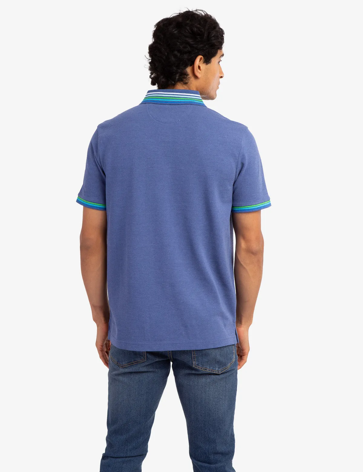 MULTI STRIPED RIB PIQUE POLO SHIRT sold by U.S. Polo Assn. product image thumbnail 4