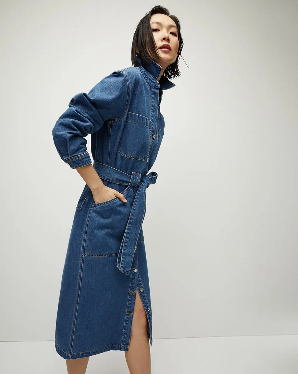 Evelyn Chambray Dress sold by Ulla Johnson product image thumbnail 3