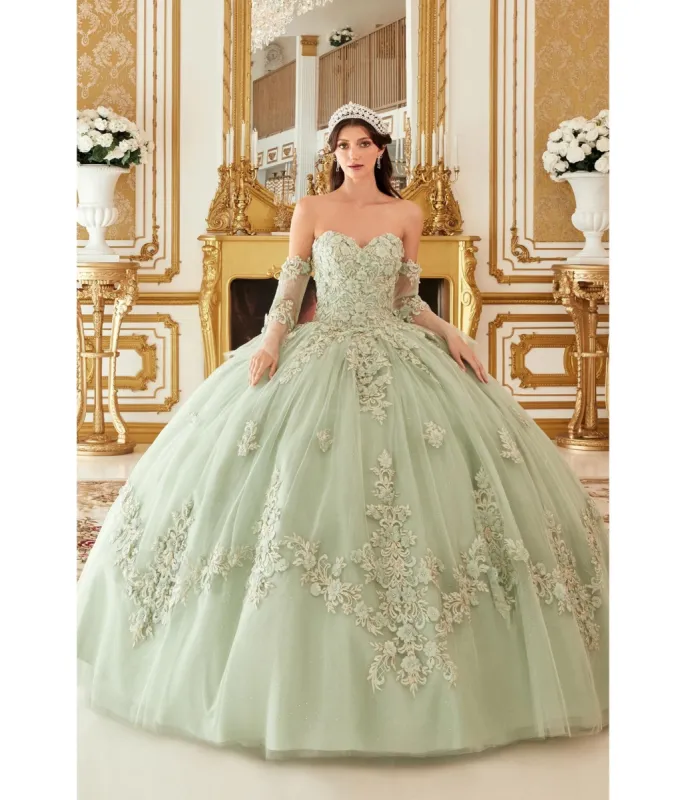 Cinderella Divine Sage Floral Tulle Princess Ball Gown sold by Unique Vintage