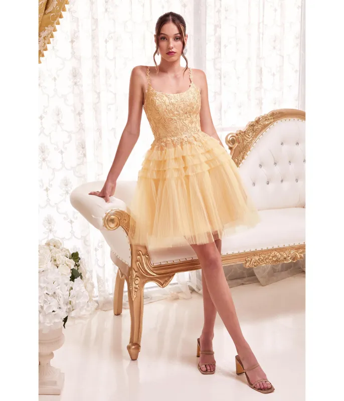 Cinderella Divine  Champagne Gold Floral Applique & Tiered Tulle Cocktail Dress sold by Unique Vintage