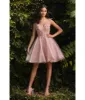 Cinderella Divine  Blush Tulle & Corset Applique Mini Prom Dress sold by Unique Vintage