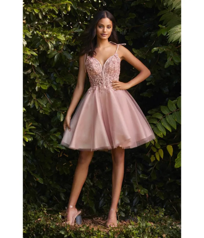 Cinderella Divine  Blush Tulle & Corset Applique Mini Prom Dress sold by Unique Vintage