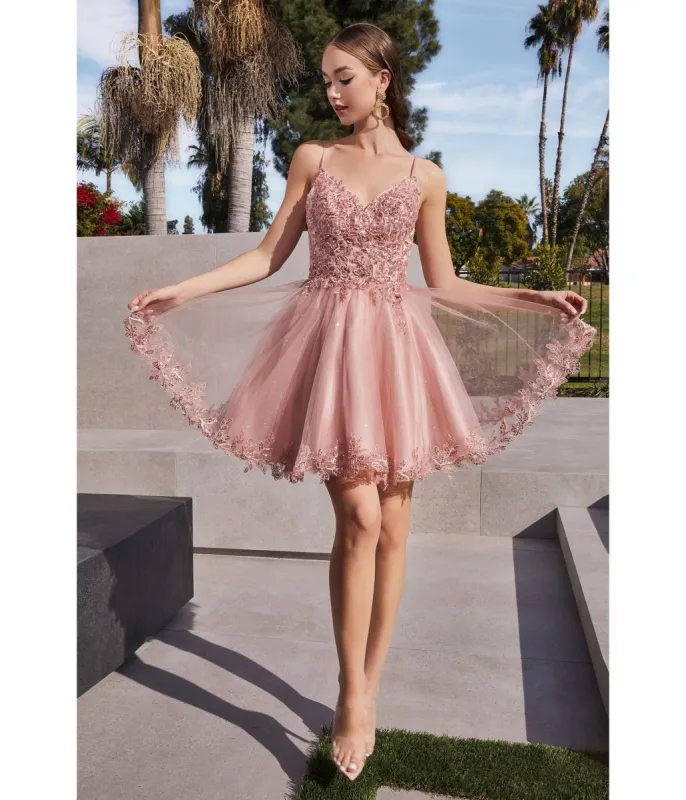 Cinderella Divine  Blush Floral Lace Mini Homecoming Dress sold by Unique Vintage