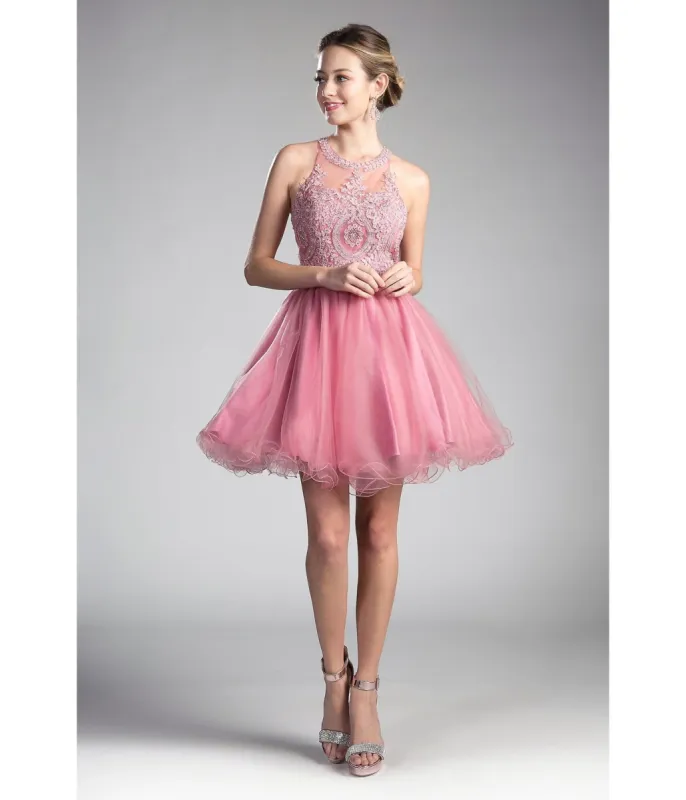 Ladivine by Cinderella Divine Rose Beaded Lace Ballerina Homecoming Dress sold by Unique Vintage
